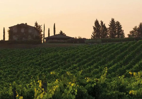 Castiglion del Bosco, Toskana