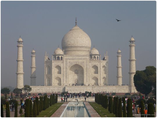 Tolle Neuigkeiten aus Indien zum Valentienstag!