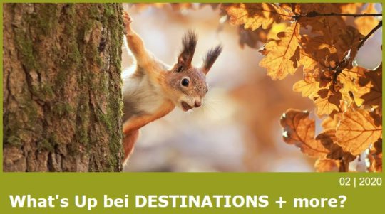 What's Up DESTINATIONS + more, 02|2020