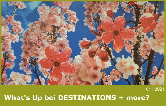 What's Up DESTINATIONS + more, 01|2021