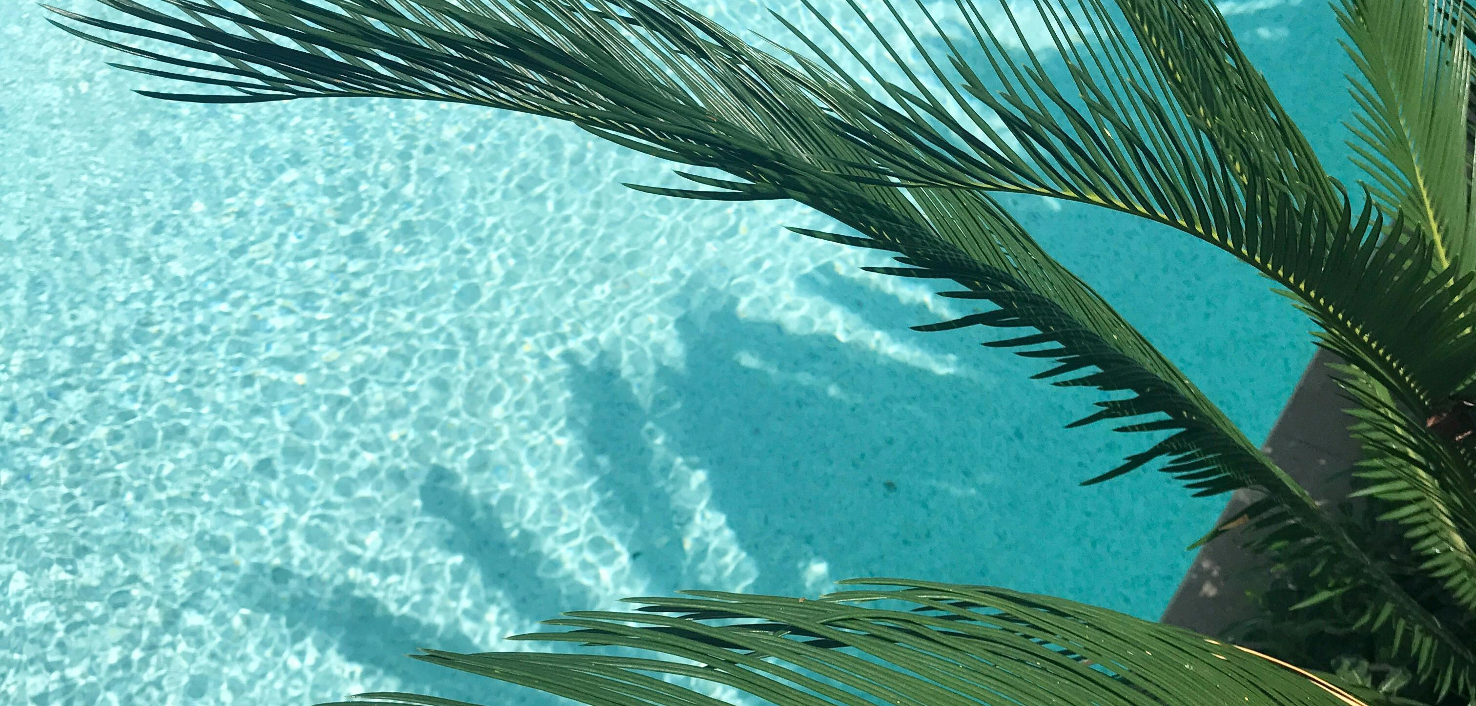 What's Up bei DESTINATIONS + more? What's Up bei DESTINATIONS + more?