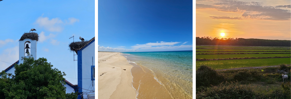 Comporta