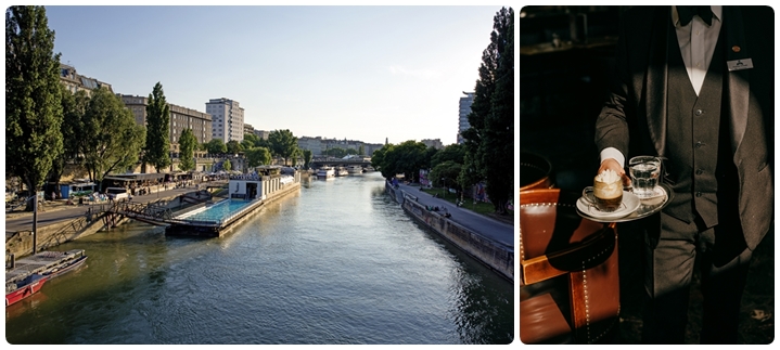 vienna1 vienna1
